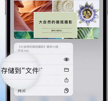 普定apple维修中心分享iPhone文件应用中存储和找到下载文件