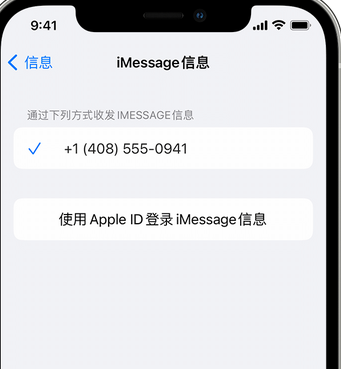 普定apple维修iPhone上无法正常发送iMessage信息 