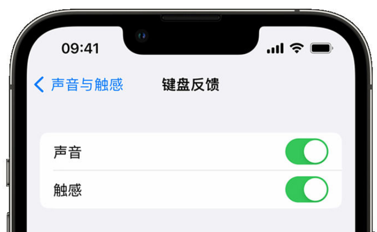 普定苹果手机维修分享iPhone 14触感键盘使用方法 