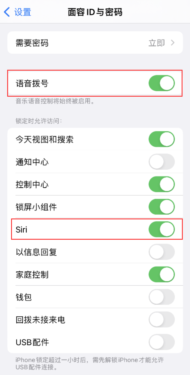 普定苹果维修网点分享不解锁 iPhone 的情况下通过 Siri 拨打电话的方法 