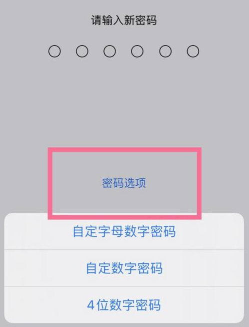 普定苹果14维修分享iPhone 14plus设置密码的方法 