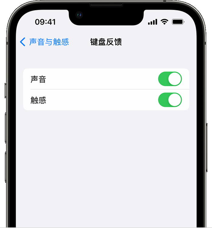 普定苹果14维修分享iPhone 14 系列机型如何开启键盘声音或触感反馈 
