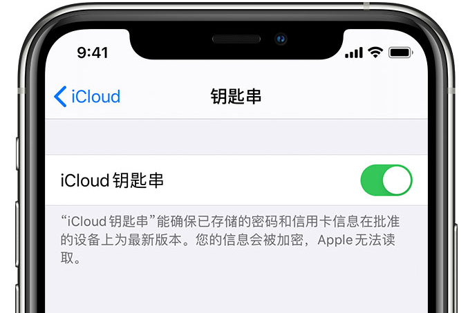 普定苹果手机维修分享在 iPhone 上开启 iCloud 钥匙串之后会储存哪些信息 