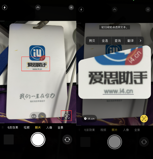 普定苹果手机维修分享升级iOS 16后如何通过相机翻译文本 