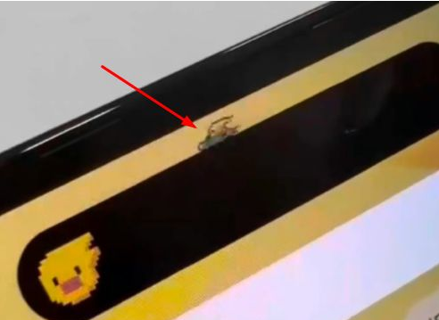 普定苹果14维修分享iPhone 14 Pro Max灵动岛怎么养宠物 