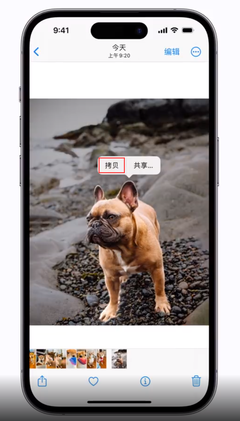 普定苹果手机维修分享 iOS 16 自带一键抠图功能 