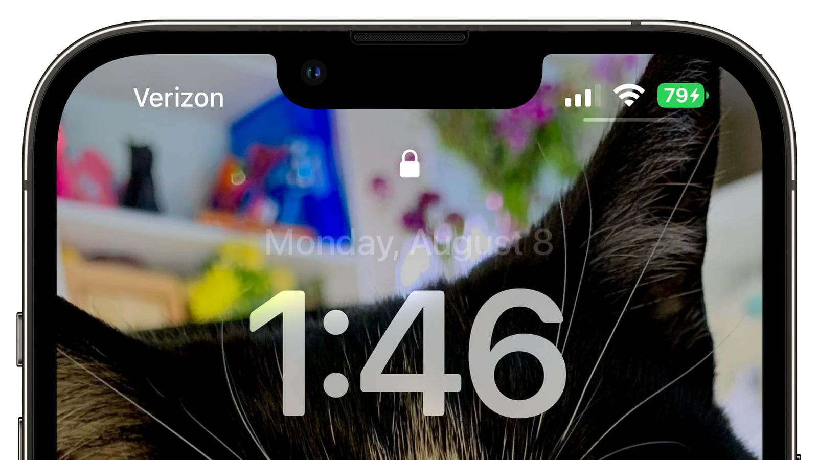 普定苹果手机维修分享iOS 16 beta 5 支持状态栏显示电池百分比，如何开启？支持哪些机型 