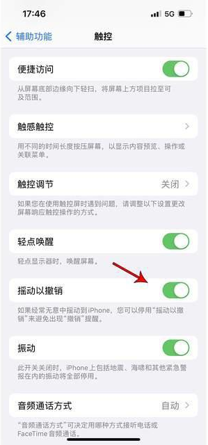 普定苹果手机维修分享iPhone手机如何设置摇一摇删除文字 