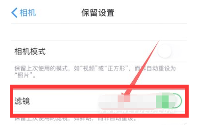 普定苹果13维修分享iPhone13拍照有绿点是怎么回事 