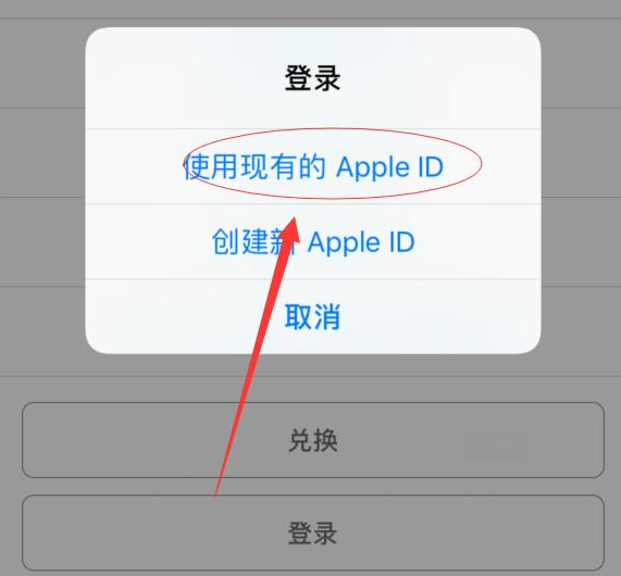 普定苹果手机维修分享两台iPhone设备可以同时登录一个Apple ID吗 