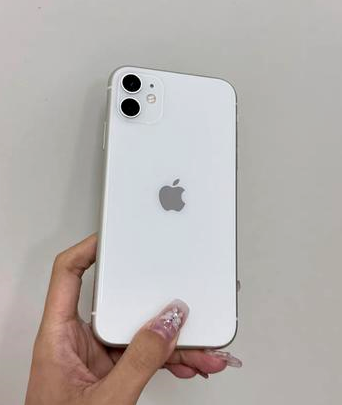 普定苹果维修点分享iPhone 11黑屏特殊场景解析 